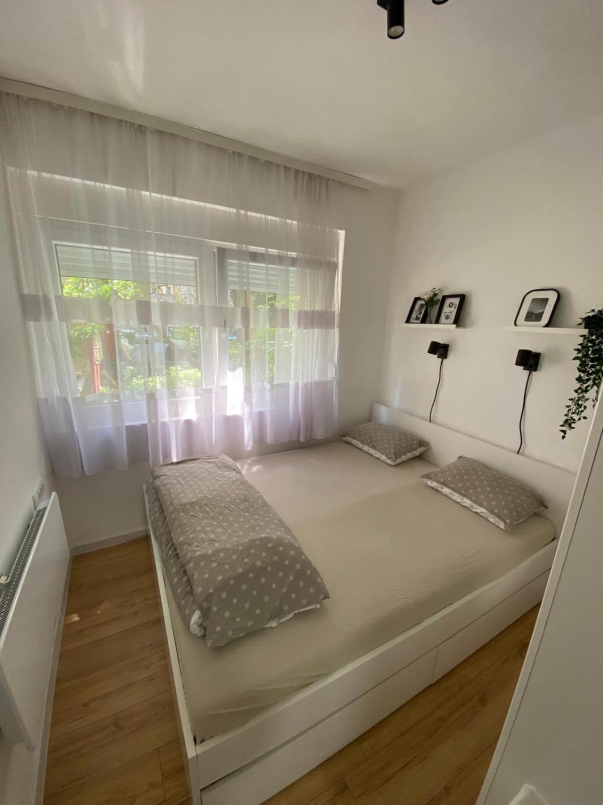 Urban Oasis Apartment Sajmiste Extérieur photo